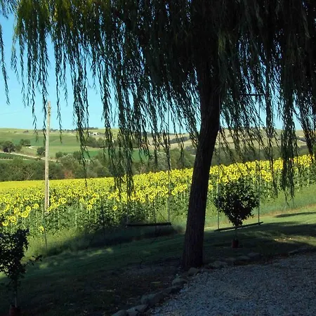 Locanda Nemorosa Montecarotto